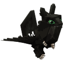 Dragon Rider Back